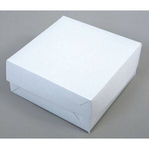 Dortová krabice bílá 28 x 28 x 10 cm dortis