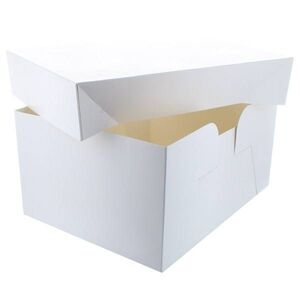Krabice bez tisku, 30,4x22,8 x15cm Culpitt